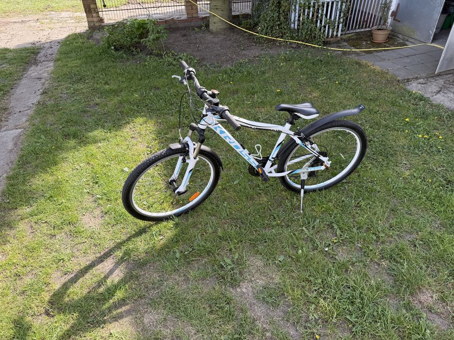 Rower Kross LEA F1