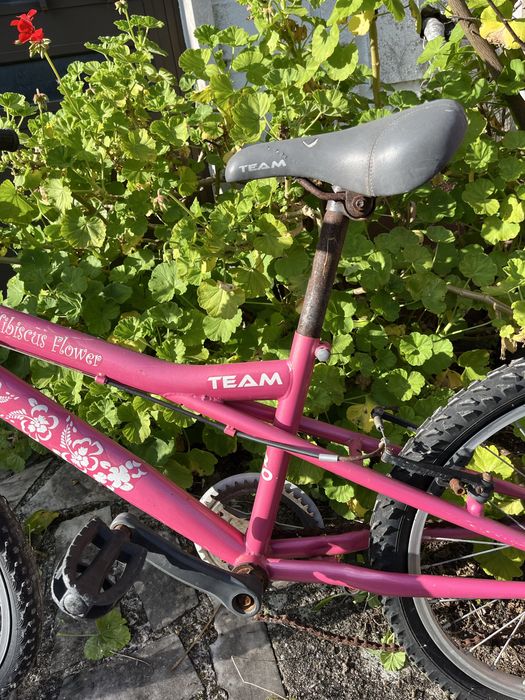 Bicicleta de criança