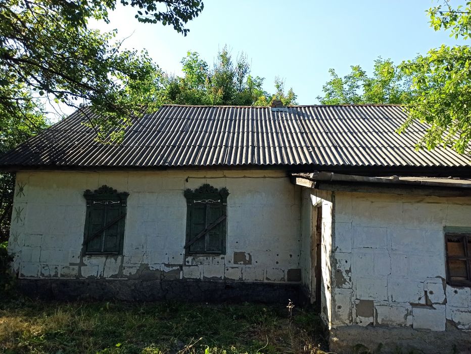 Продам большой участок плодородной земли с домом и хозпостройками.