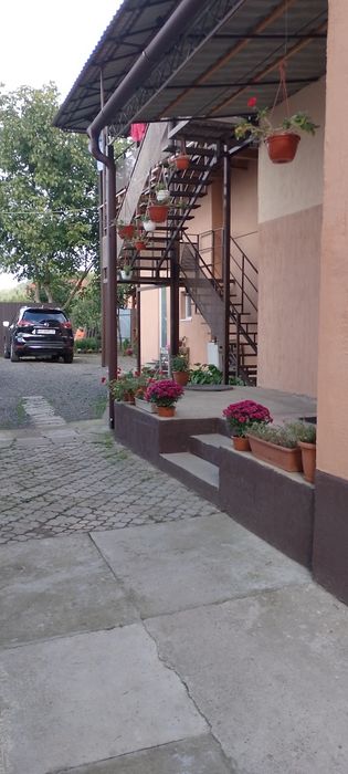 Здається подобово житло в Берегово,150м Термальний  ,,Закар-тя,, та 45