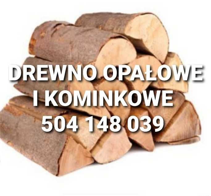 Drewno Buk dąb Iglaste