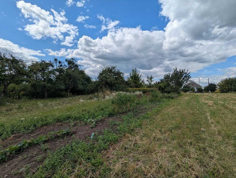 Продам земельну ділянку в с. Велика Омеляна