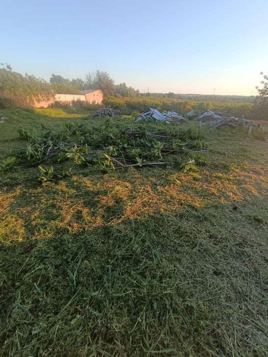 Manutenção e limpeza de terrenos