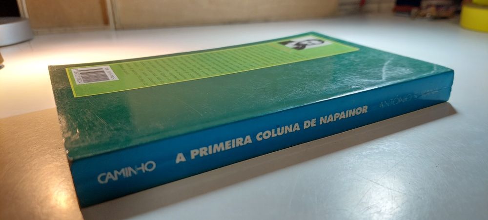 A Primeira Coluna de Napainor - António S. Viana