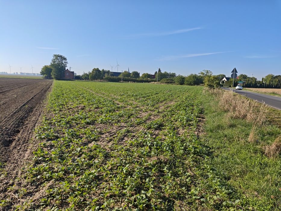 Działka budowlana - Widok 4