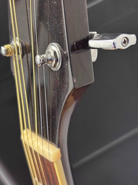 Ibanez EW20WNE-NT + futerał - Gitara elektroakustyczna