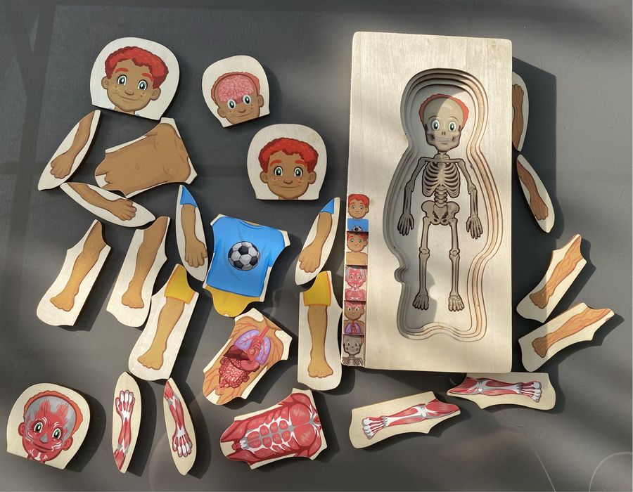 Puzzle de madeira Anatomia Corpo Humano