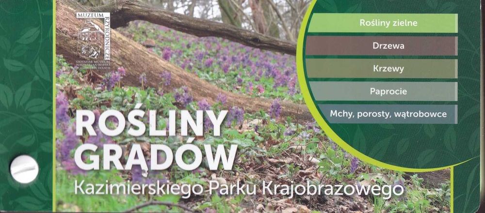 Rośliny grądów Kazimierskiego Parku Krajobrazowego przewodnik`
