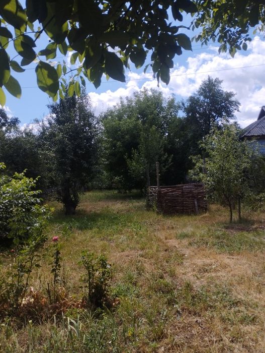 Продаж будинку с. Балаклея