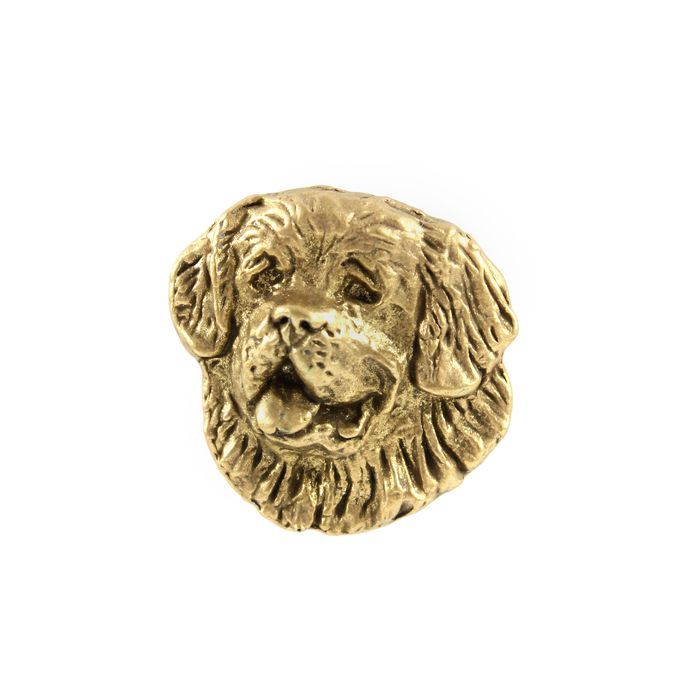 Bernardyn pin pozłocony w pudełku Art-Dog
