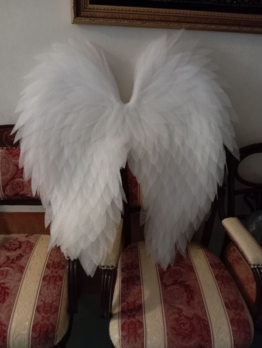 Дитячі крила ангела