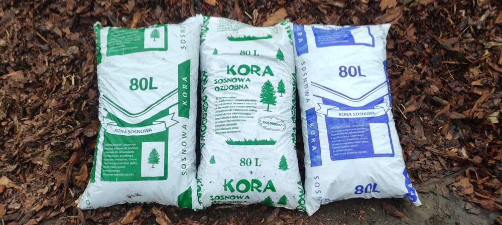 Kora Sosnowa Wałbrzych