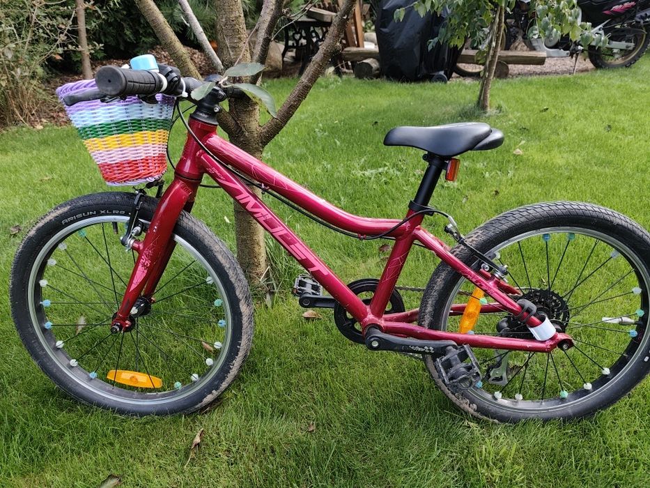 Rower dziecięcy Amulet Tomcat 20