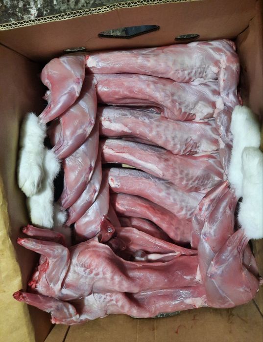 Мясо домашнього кролика