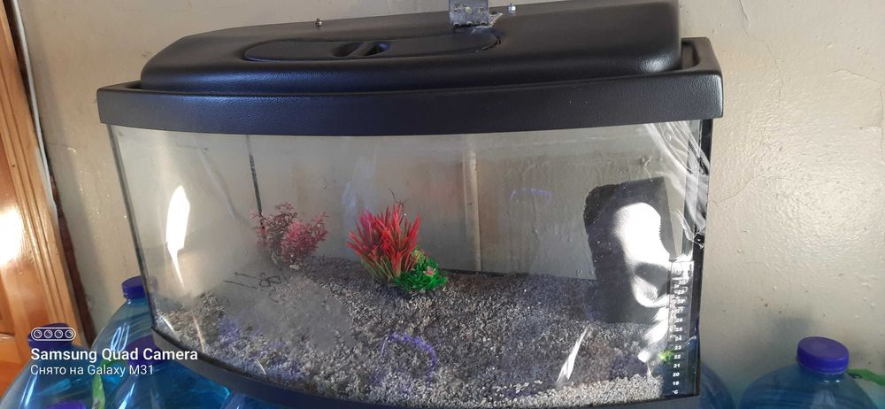 Аквариум с овальным  передним стеклом