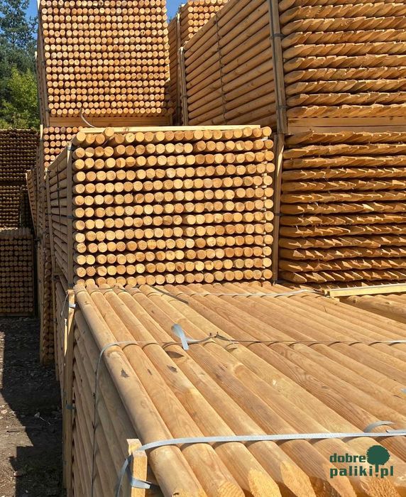 Palik, Palisada, Palik drewniany, Palisada drewniana, fi10 fi12