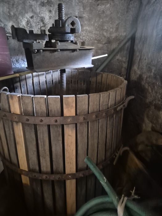 Prensa e esmagador para fazer vinho