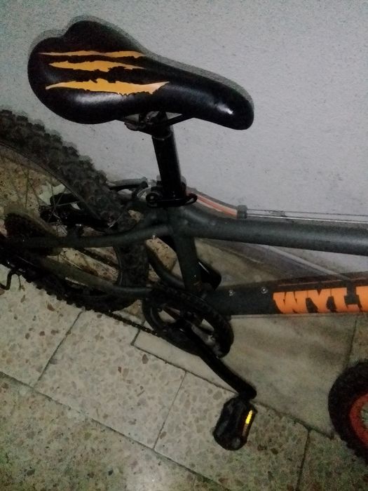 Bicicleta roda 20 criança