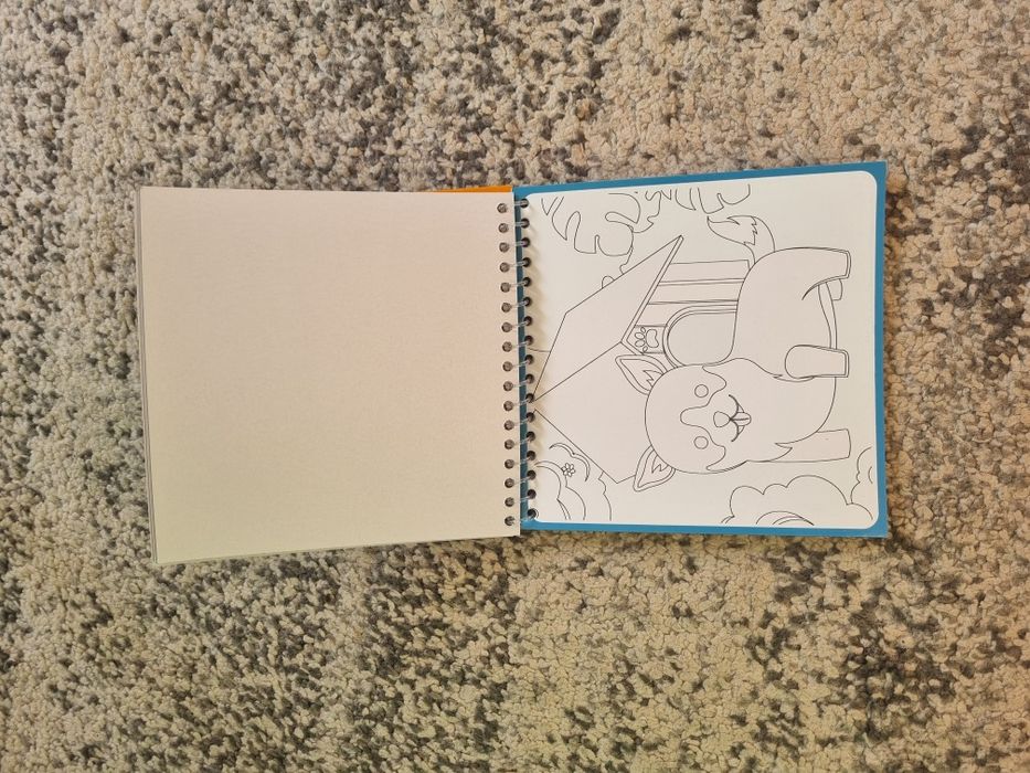 Kolorowanka wodna dla dziecka! Koty i psy