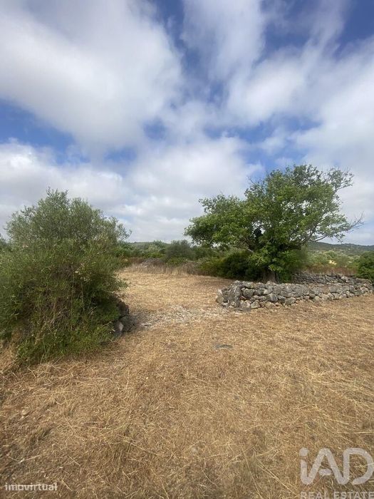 Terreno em Santa Catarina da Fonte do Bispo de 10000,00 m2