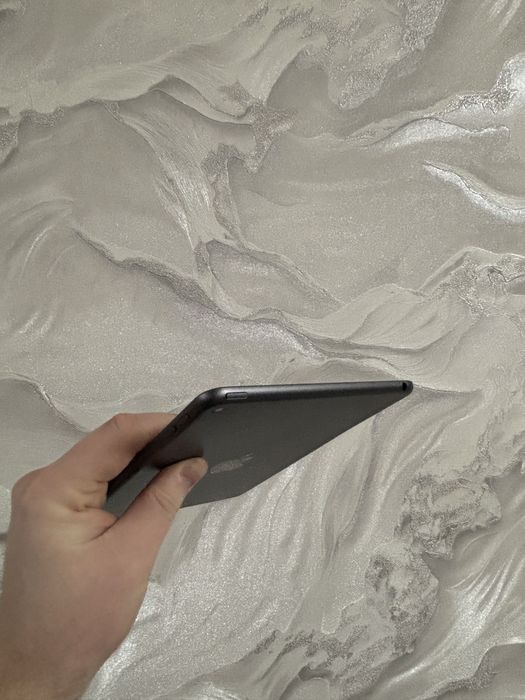 IPad Mini 5 256 Gb Space Gray