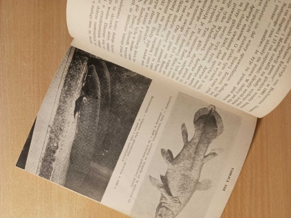 Na tropie nieznanych zwierząt - Bernard Heuvelmans