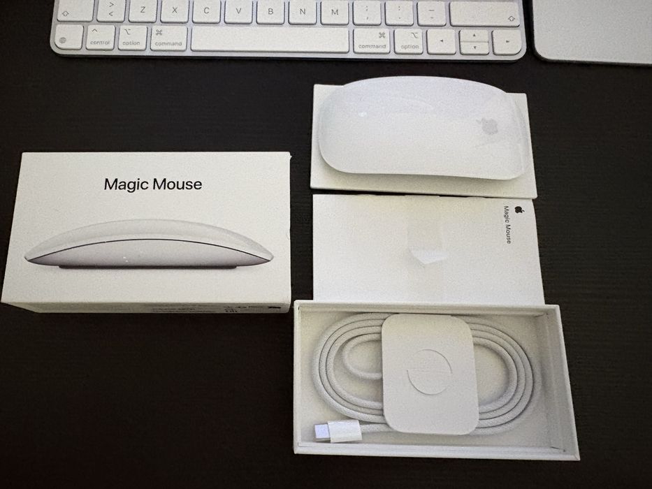 Apple magic mouse multi touch