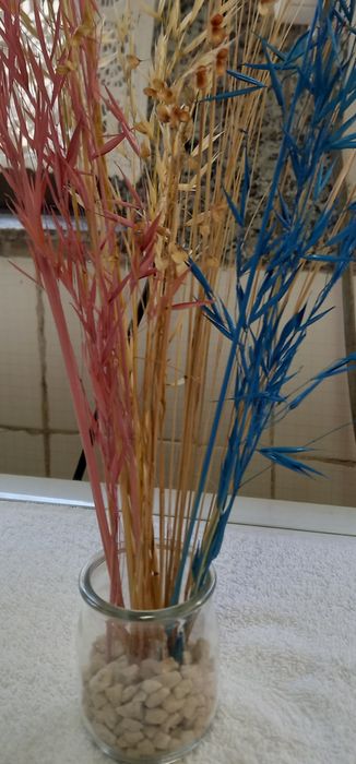 Flores naturais secas