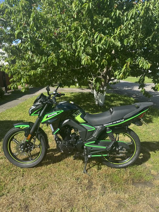 Musstang region 250