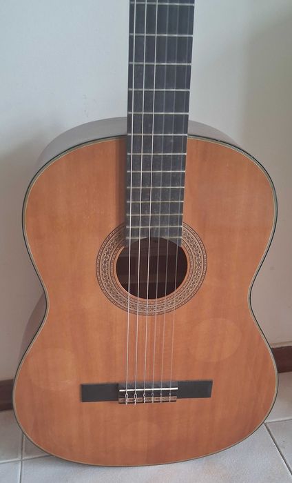 Guitarra Acústica George Washburn Nº C 10N 6 Cordas