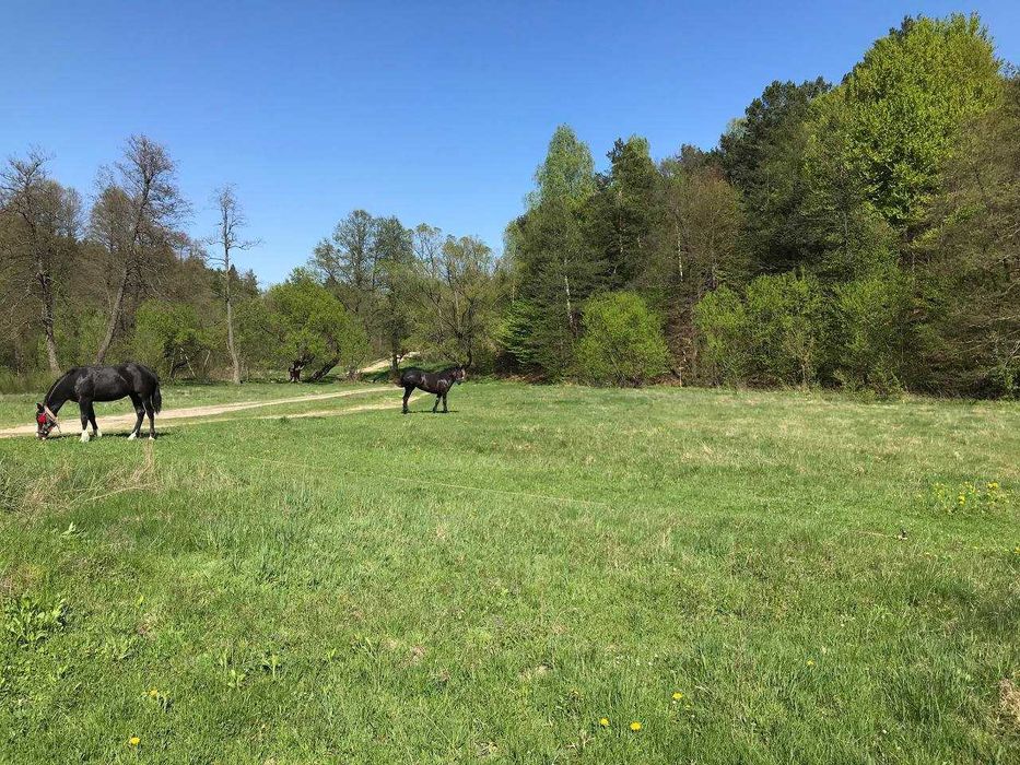 Продам земельну ділянку у Середкевичах під форелеве господарство .