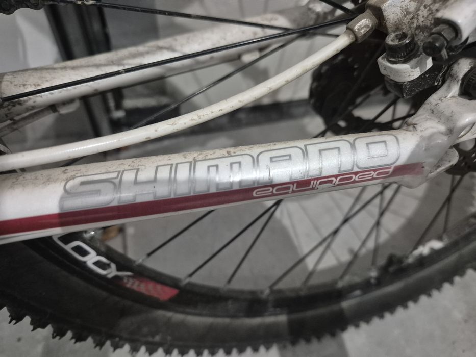 Rower Northtec Gravity 2