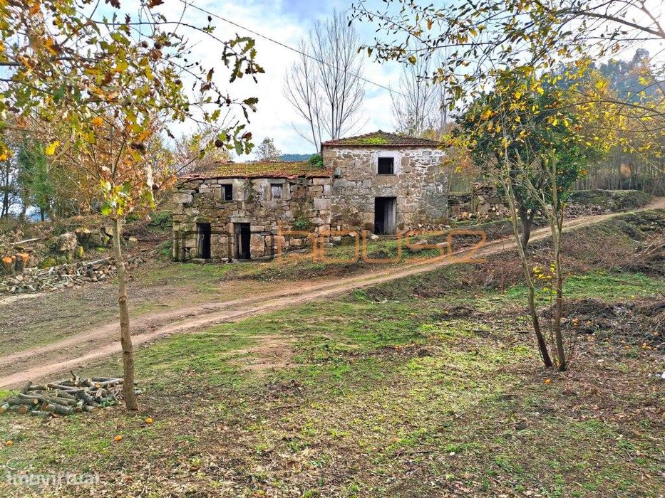 Quinta com Ribeiro e casa para restaurar - Terreno de cultivo