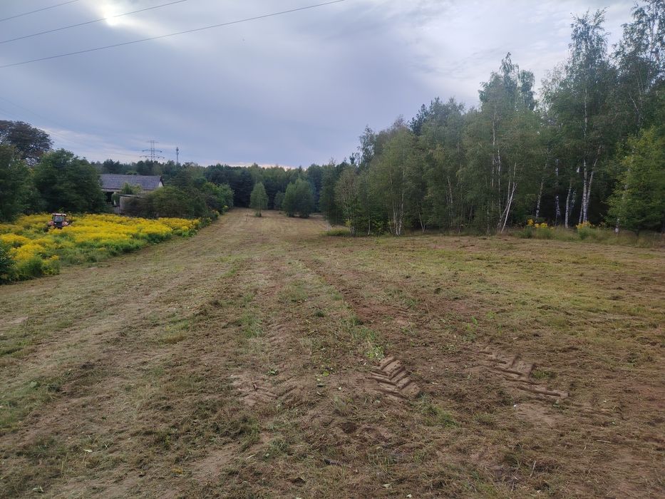 500 M2   Rosanów 80.000 zł