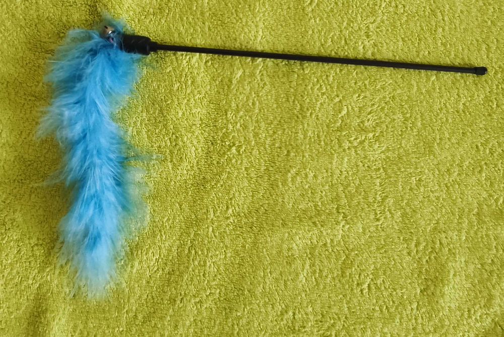 Cana com Guizo para Gato - Diversão Garantida!