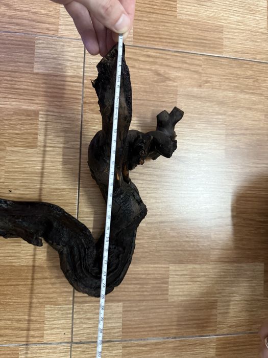 Tronco para aquário