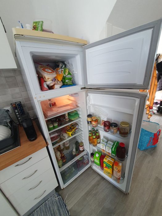 Frigorífico grátis