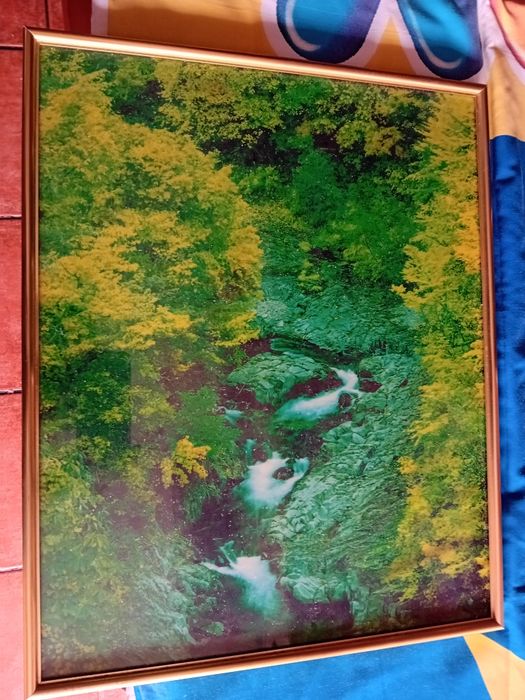 Quadro Decorativo