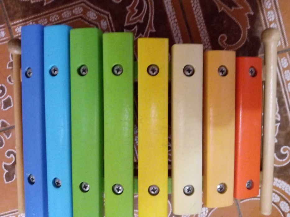 Xilofone de Madeira da Chicco Com Caixa