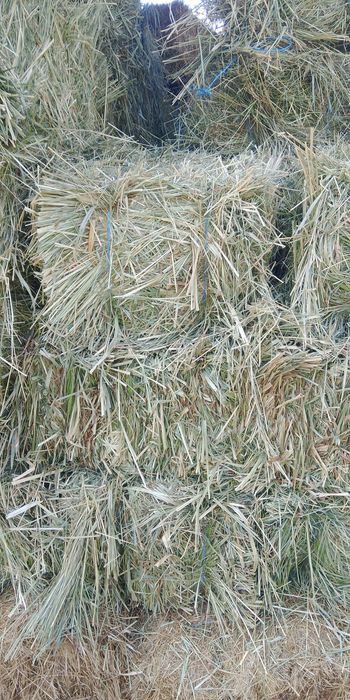 Продам сіно лугове , різнотрав'я!