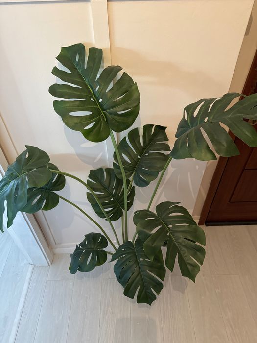 Planta Costela-de-Adão (Artificial)