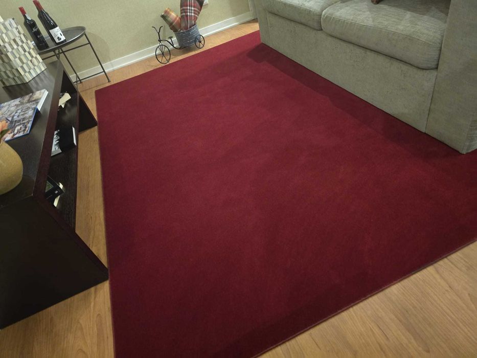 Carpete de qualidade e em bom estado, fácil de limpar