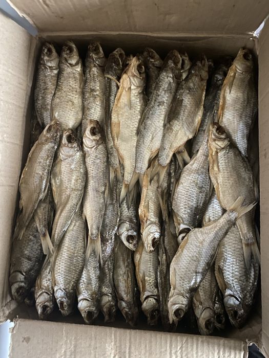 Вобла мала з ікрою [Преміум якість] - 1 кг