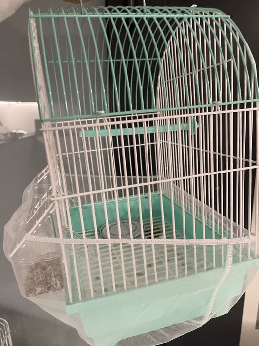 Gaiola Agapone cor verde água