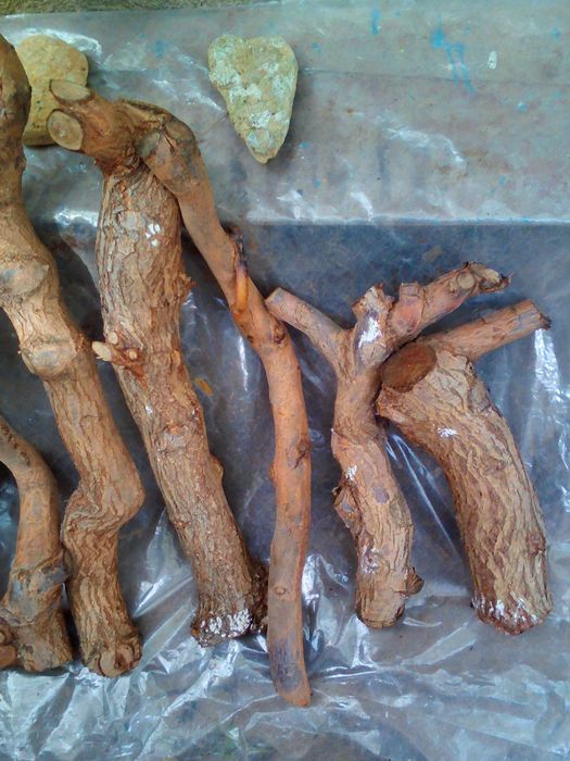 Продам коряги большие разные