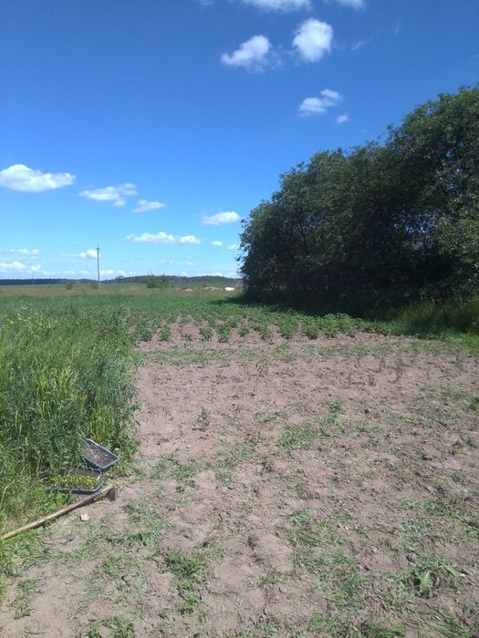 Продам будинок в с.Бірки Козелецького р-ну.