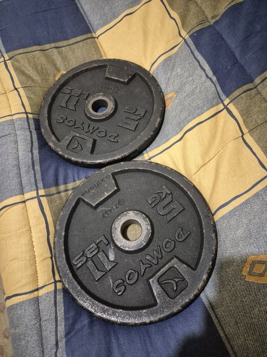 2 discos de musculação de 5kg