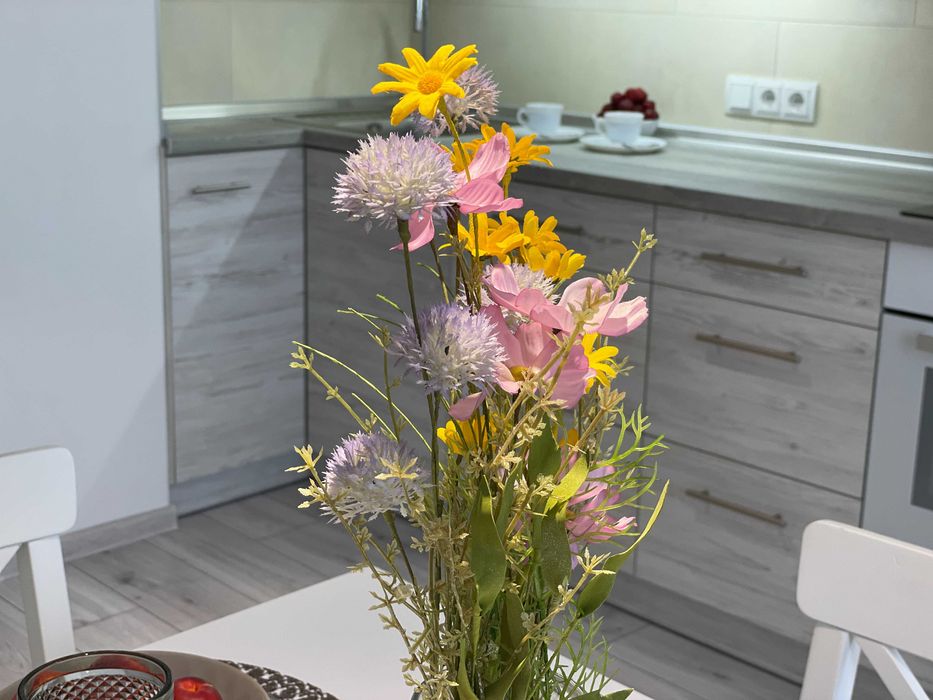 PENTHAUSE 1-кв, ПОГОДИННО центр (пивзавод) Кондиціонер