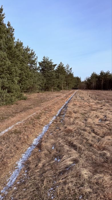 Działka budowlana 1150 m² – Rosocha-Kolonia | WZ | Lasy | Obrzeża miasta