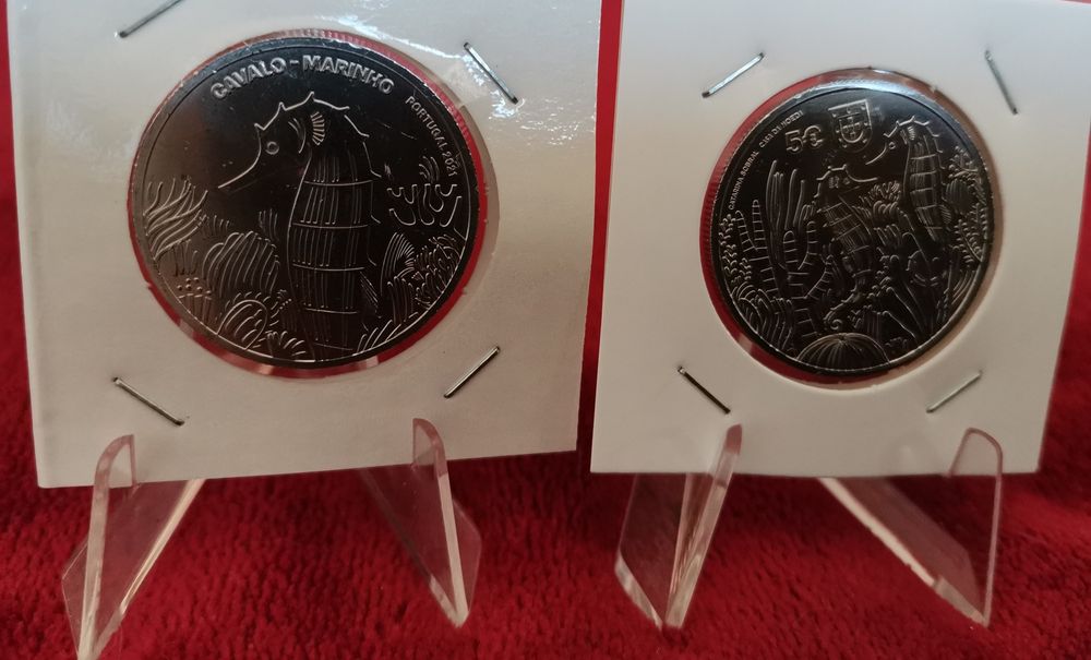 Moeda comemorativa 5€ "Cavalo Marinho"